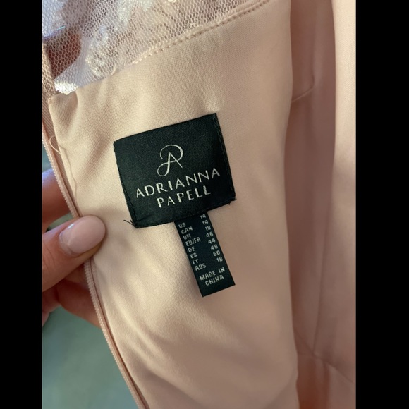 FREE SHIP ADRIANNA PAPELL Embroidered Crepe Satin Gown, Joyful Blush - Picture 6 of 10